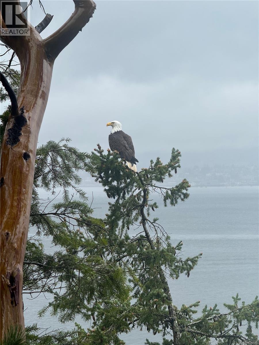 811 Canso Rd, Gabriola Island, British Columbia  V0R 1X2 - Photo 42 - 1028546