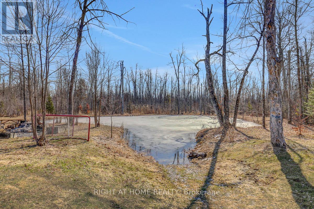8660 Flewellyn Road, Ottawa, Ontario  K0A 1B0 - Photo 48 - X12987892