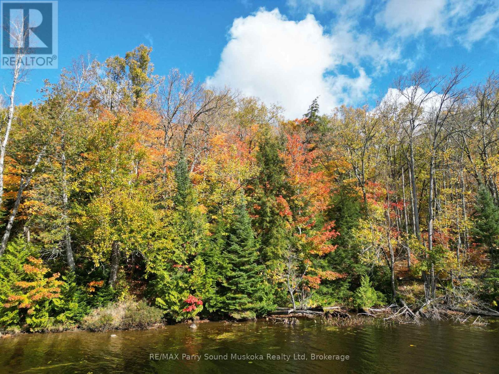 353c Balsam Creek Road, Parry Sound Remote Area, Ontario  P0H 1S0 - Photo 2 - X12987990
