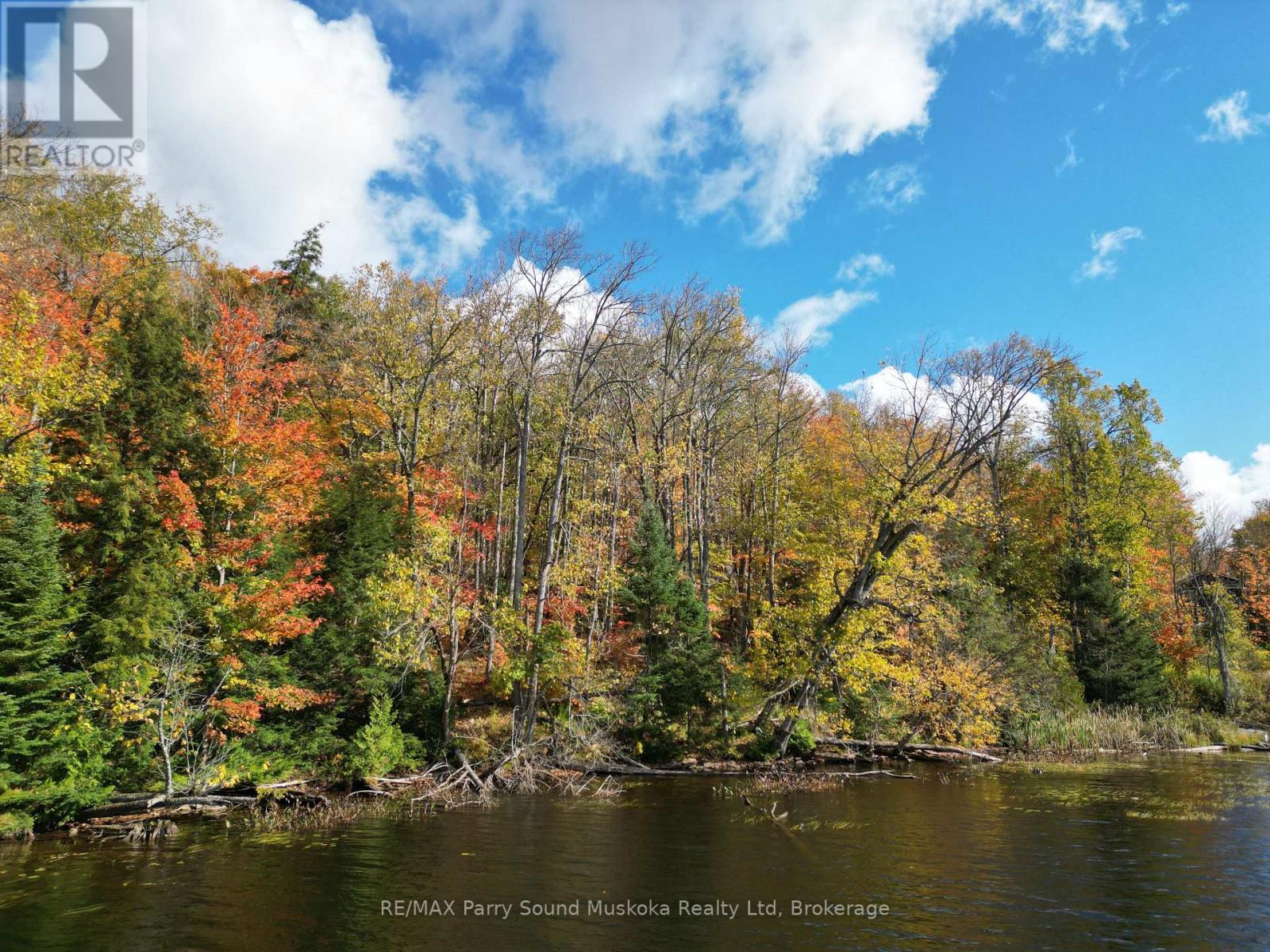 353c Balsam Creek Road, Parry Sound Remote Area, Ontario  P0H 1S0 - Photo 3 - X12987990