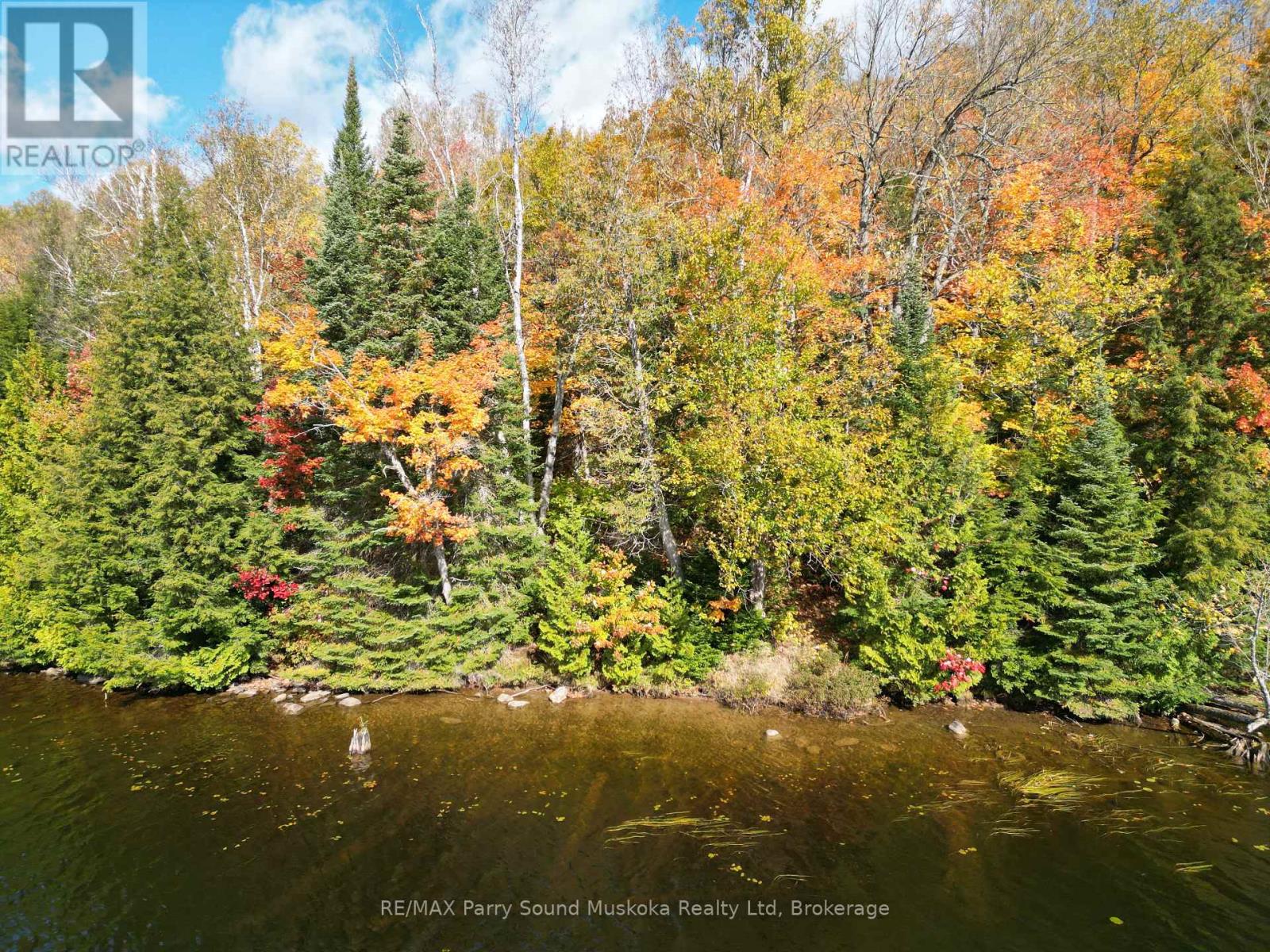353c Balsam Creek Road, Parry Sound Remote Area, Ontario  P0H 1S0 - Photo 5 - X12987990