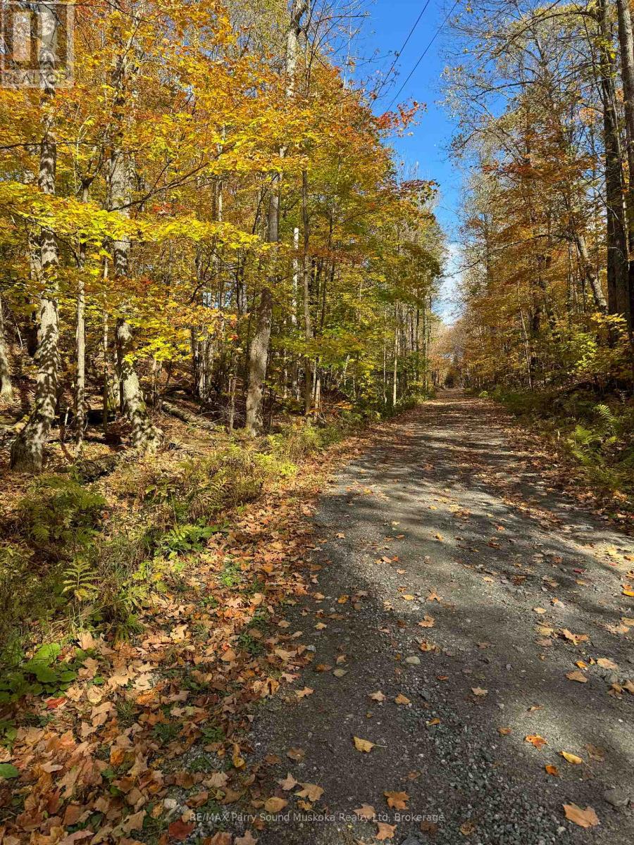 353c Balsam Creek Road, Parry Sound Remote Area, Ontario  P0H 1S0 - Photo 9 - X12987990