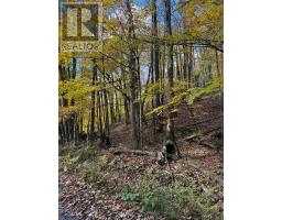 353C BALSAM CREEK ROAD, parry sound remote area (mcconkey), Ontario