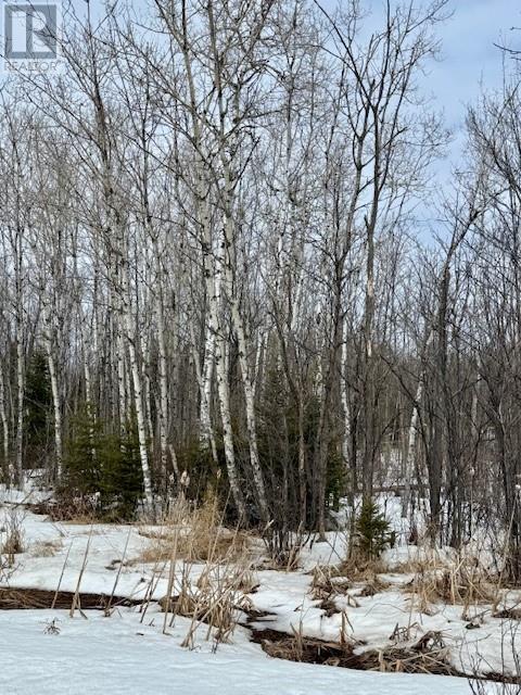 0 Highway 17, Spanish, Ontario  P0P 2A0 - Photo 4 - 2126969