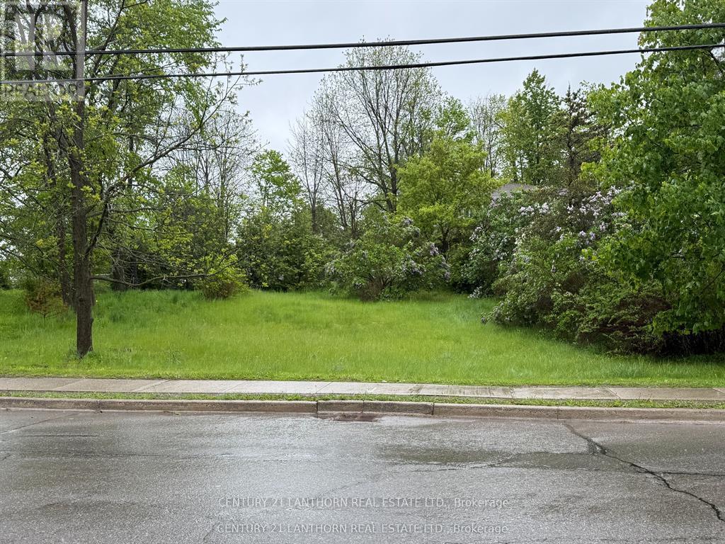 0 St Lawrence Street W, Centre Hastings, Ontario  K0K 2K0 - Photo 4 - X12988004