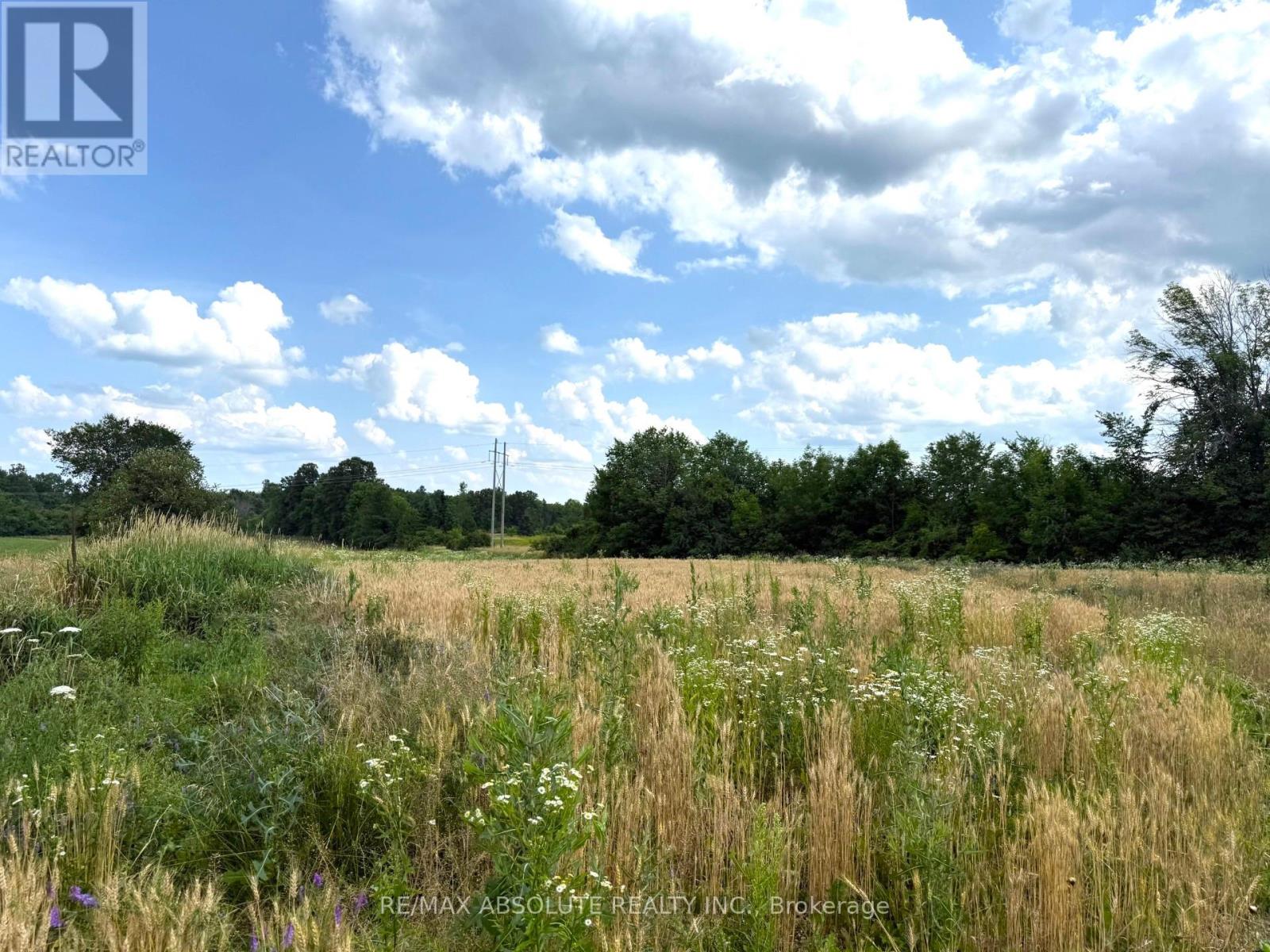 702 Part 18 Flat Rapids Road, Mcnab/braeside, Ontario  K7S 3G8 - Photo 4 - X12988018