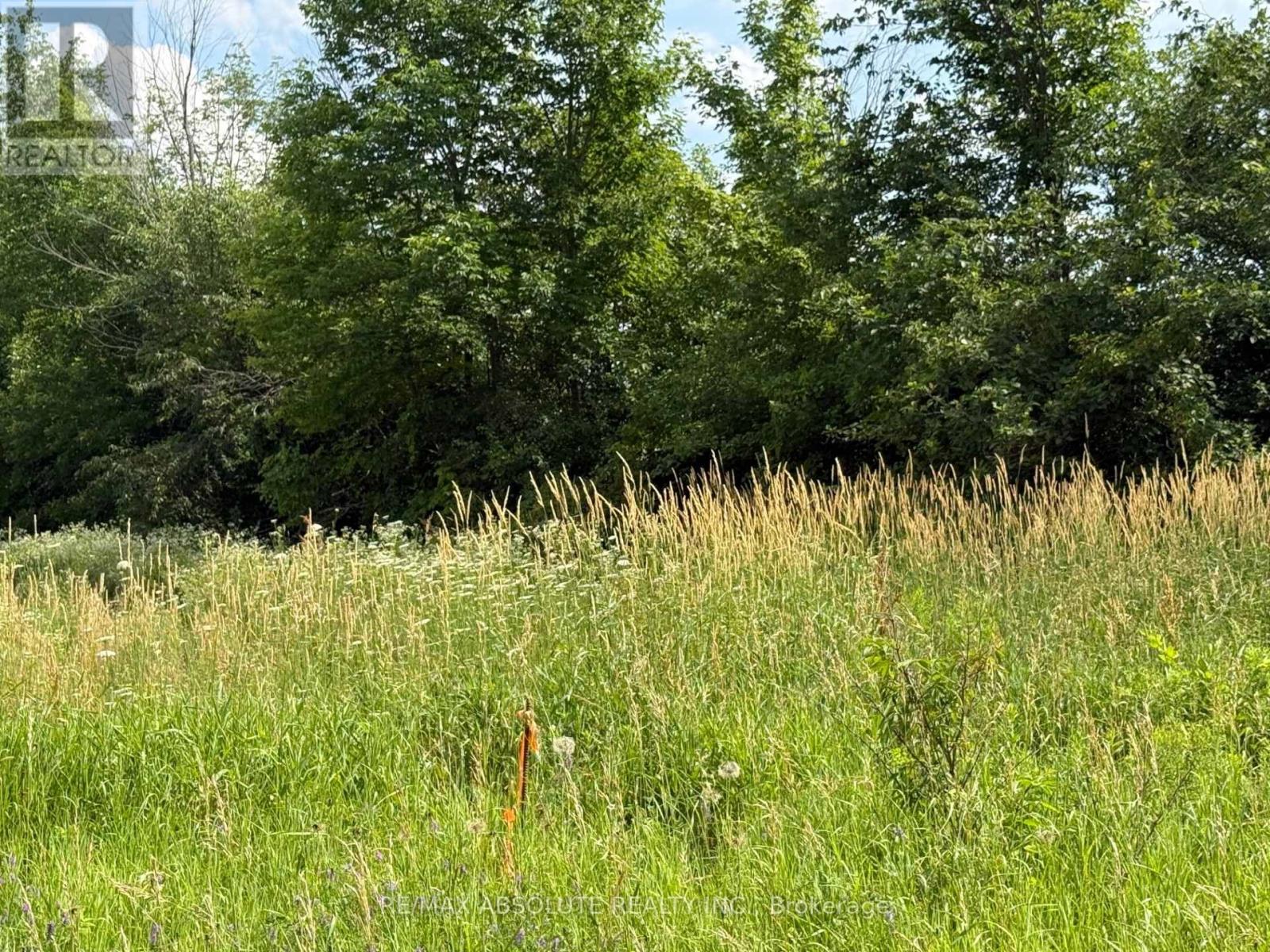 702 Part 16 Flat Rapids Road, Mcnab/braeside, Ontario  K7S 3G8 - Photo 6 - X12988020