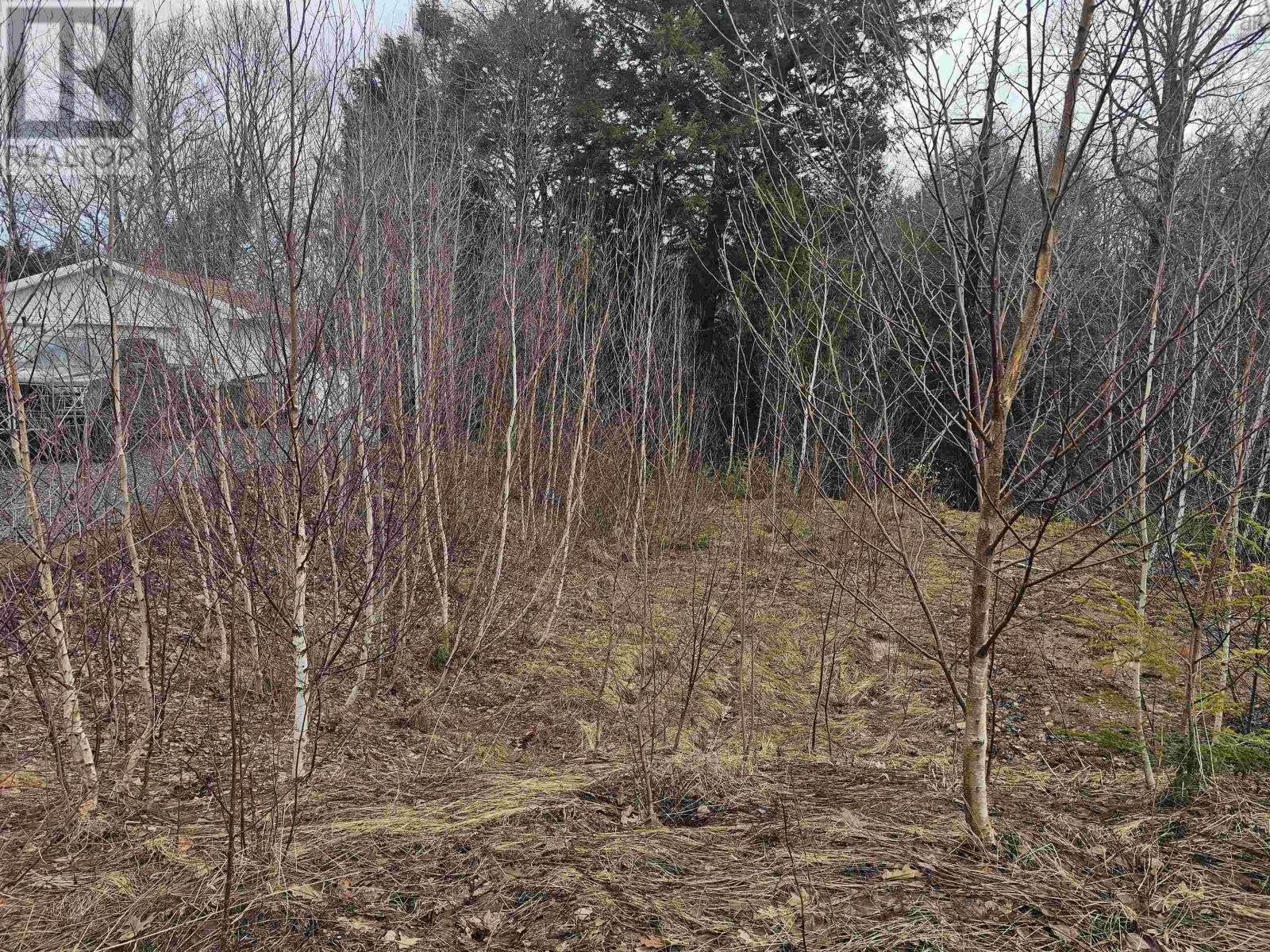 Lot 142 Alicia Boulevard, Kentville, Nova Scotia  B4N 4Z8 - Photo 4 - 202605720