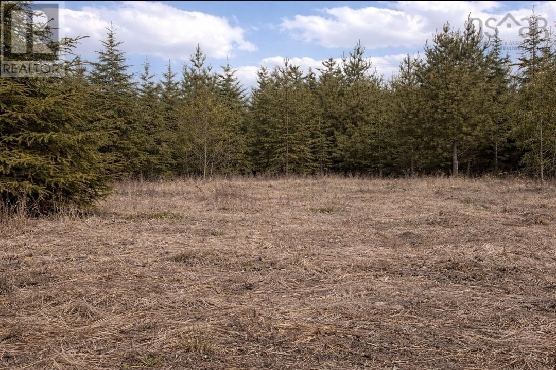 Lot 6 41 Brule Shore Road, Barrachois, Nova Scotia  B0K 1V0 - Photo 5 - 202607036