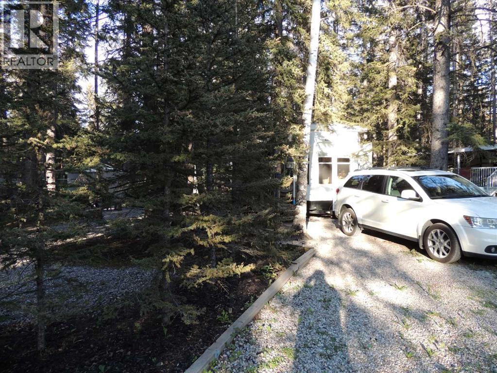 9 Timber Trail, Sundre, Alberta  T0M 1X0 - Photo 10 - A2298949