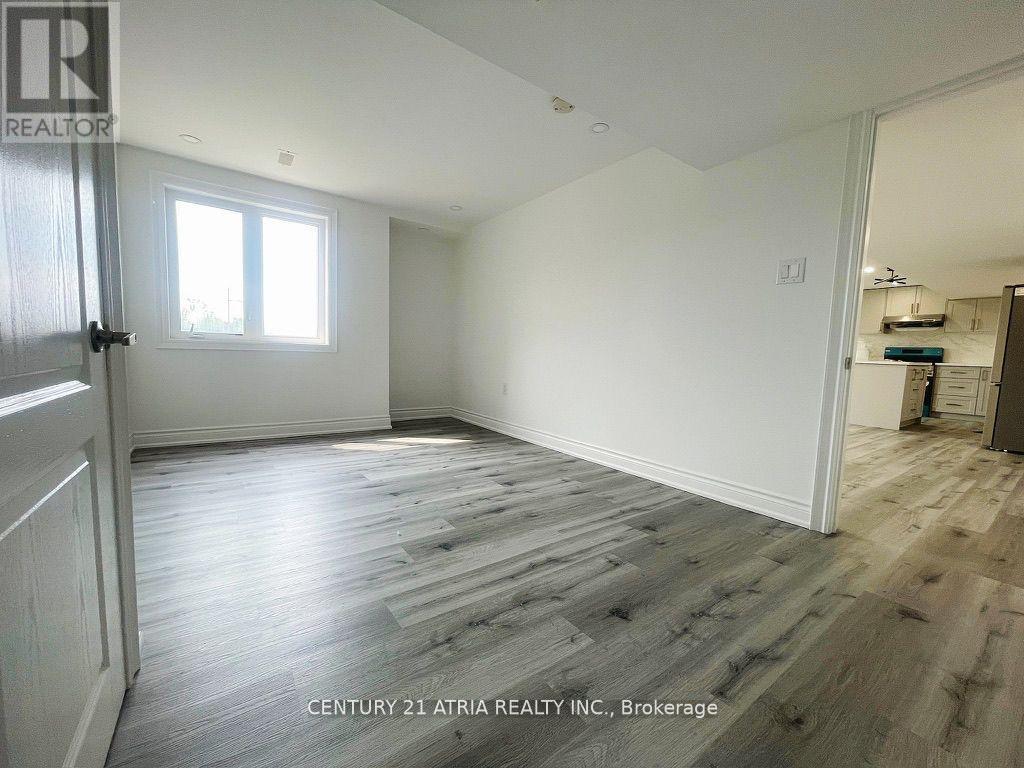 Basement - 37 Ben Sinclair Avenue, East Gwillimbury, Ontario  L9N 0S3 - Photo 5 - N12988062