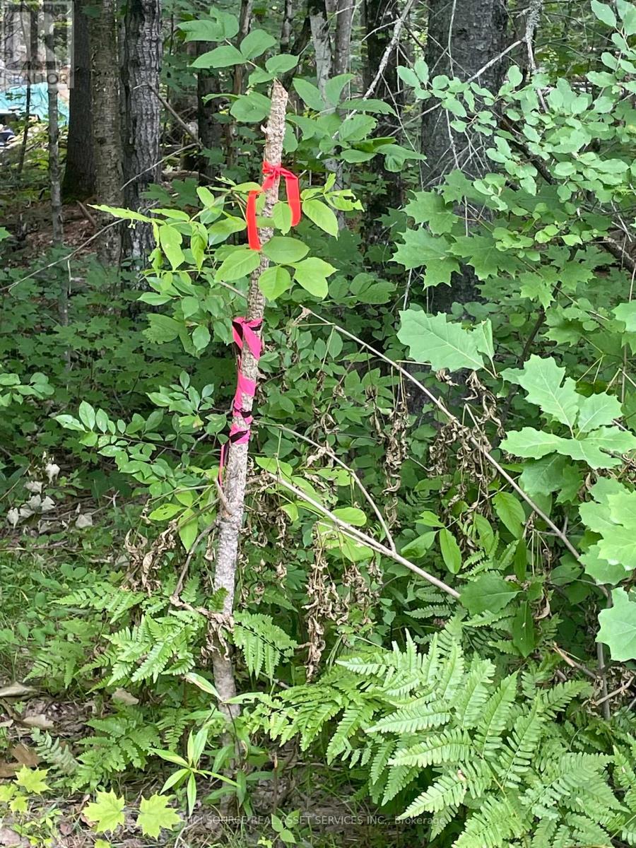 Part 2 - 00 Rye Road, South River, Ontario  P0A 1X0 - Photo 2 - X12988198