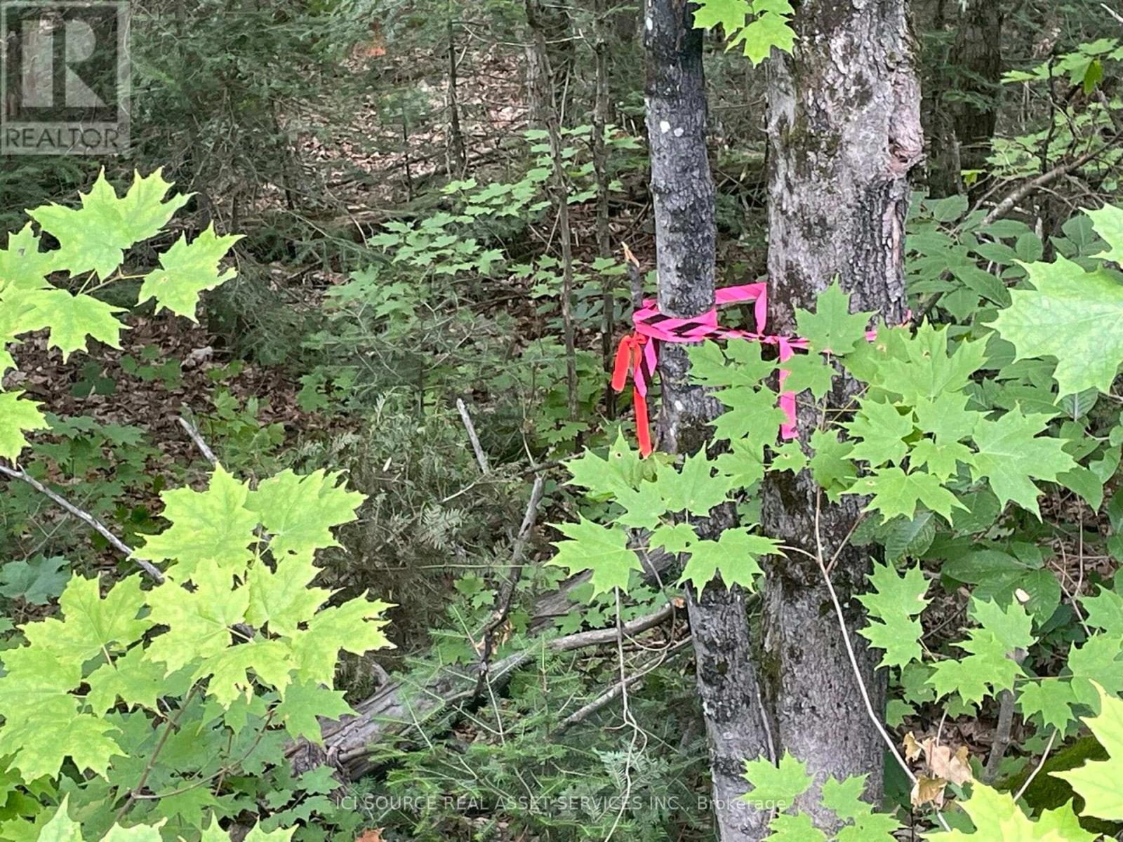 Part 2 - 00 Rye Road, South River, Ontario  P0A 1X0 - Photo 4 - X12988198