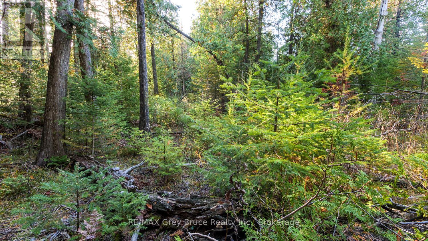 Not Assigned Sauble Falls Parkway, South Bruce Peninsula, Ontario  N0H 2G0 - Photo 5 - X12988286