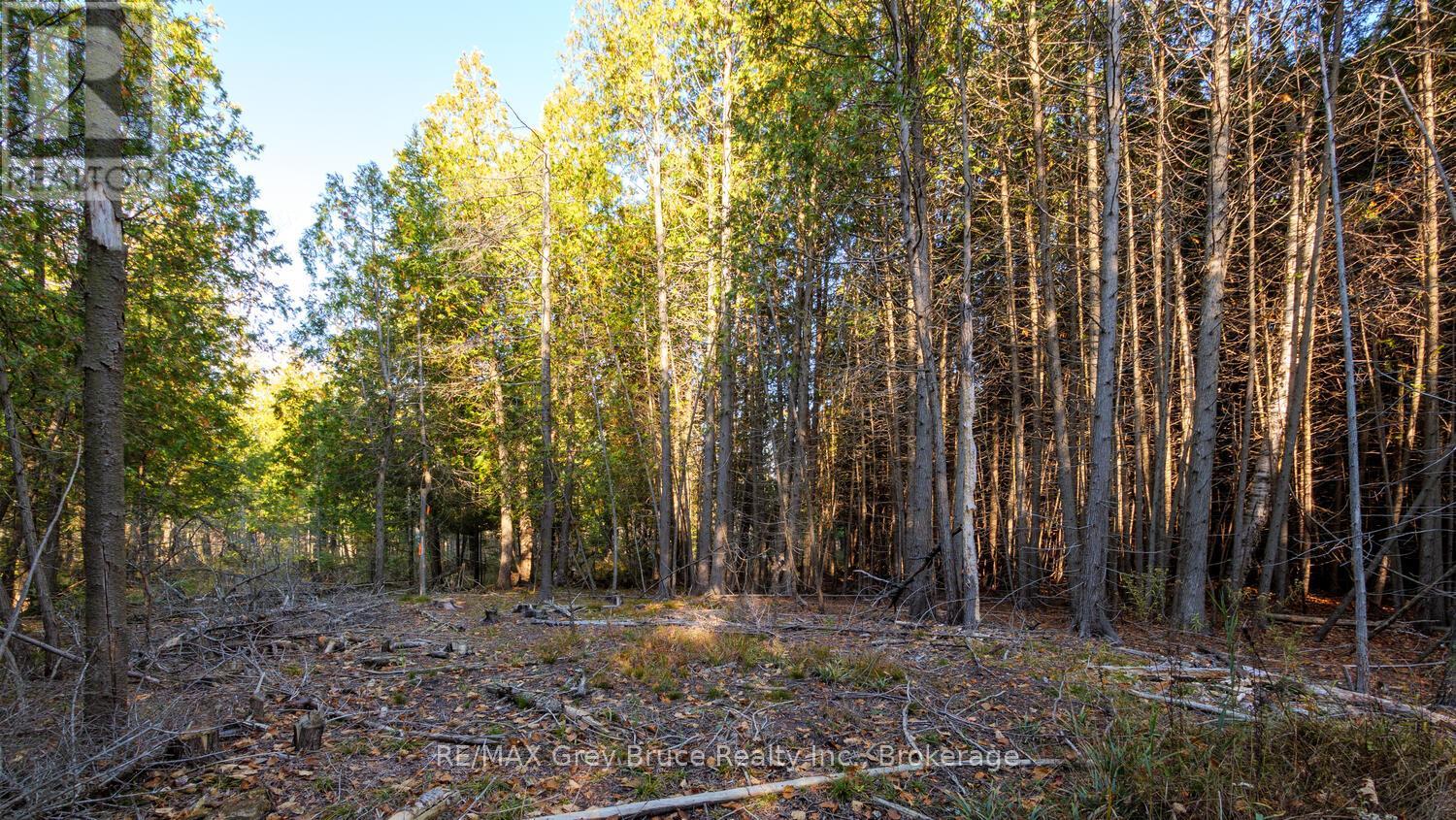 Not Assigned Sauble Falls Parkway, South Bruce Peninsula, Ontario  N0H 2G0 - Photo 6 - X12988286