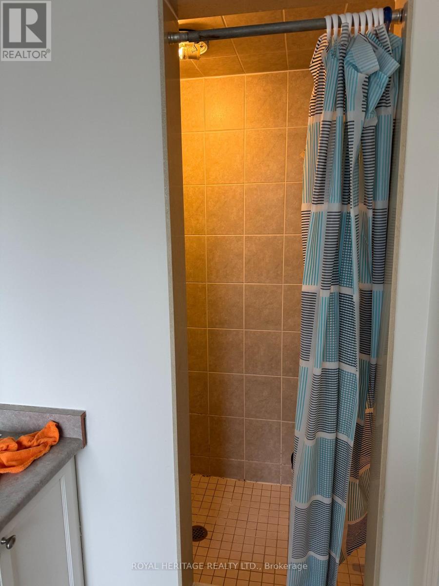 Main - 49 Everingham Circle, Brampton, Ontario  L6R 0R9 - Photo 12 - W12985818