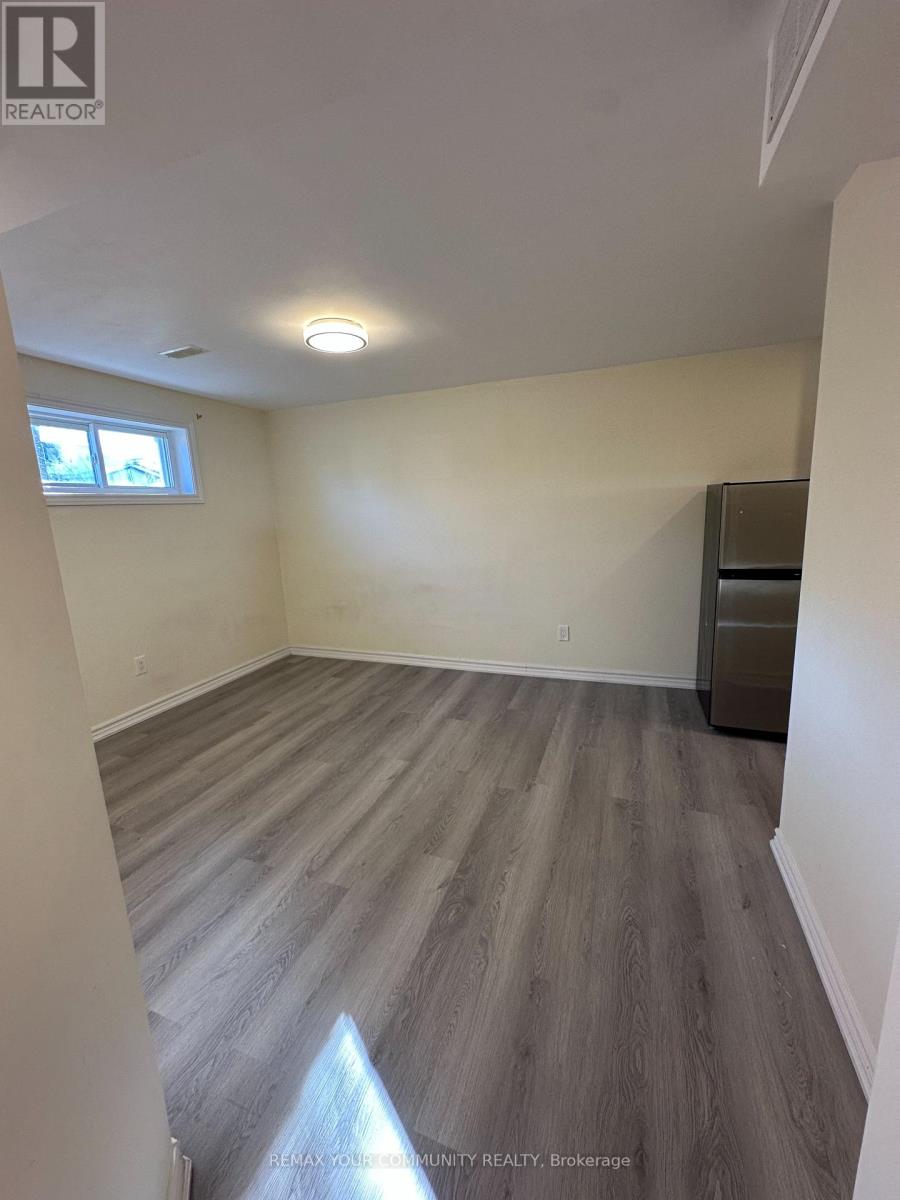 356 Sandford Street, Newmarket, Ontario  L3Y 4S3 - Photo 10 - N12988328