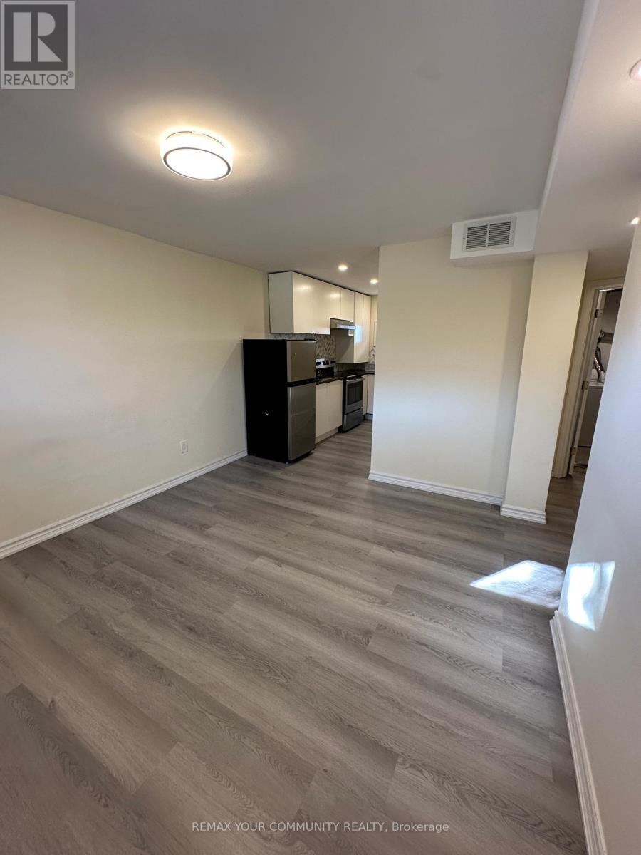 356 Sandford Street, Newmarket, Ontario  L3Y 4S3 - Photo 12 - N12988328