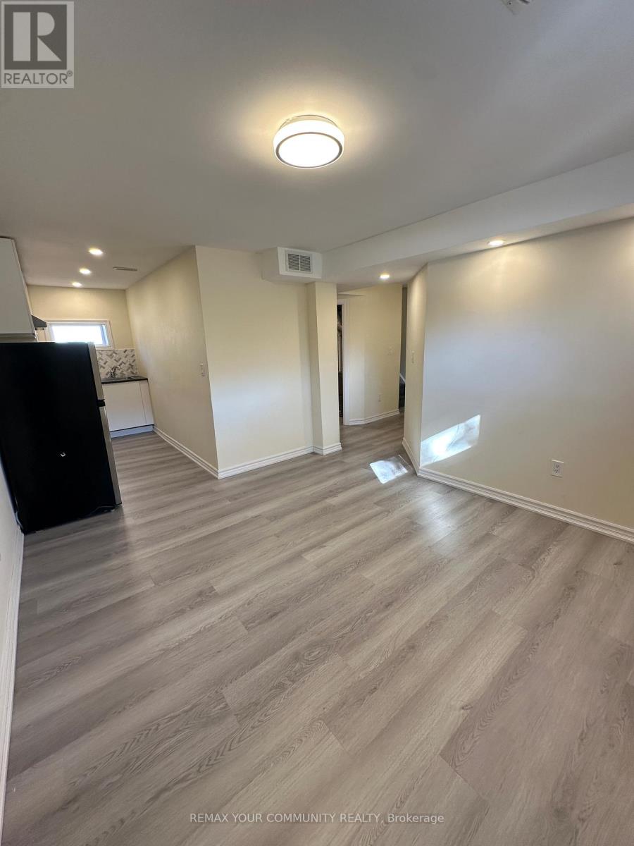 356 Sandford Street, Newmarket, Ontario  L3Y 4S3 - Photo 13 - N12988328