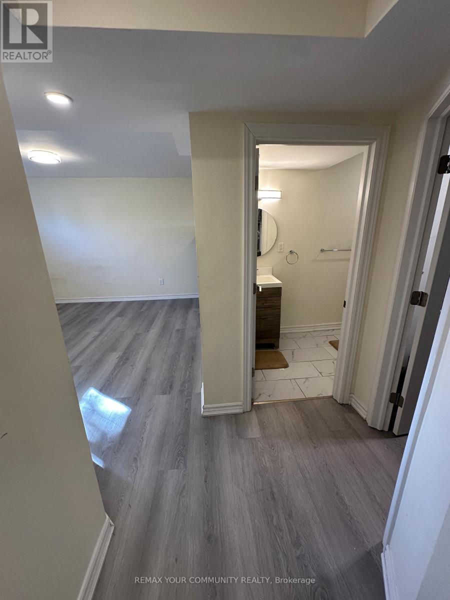 356 Sandford Street, Newmarket, Ontario  L3Y 4S3 - Photo 8 - N12988328