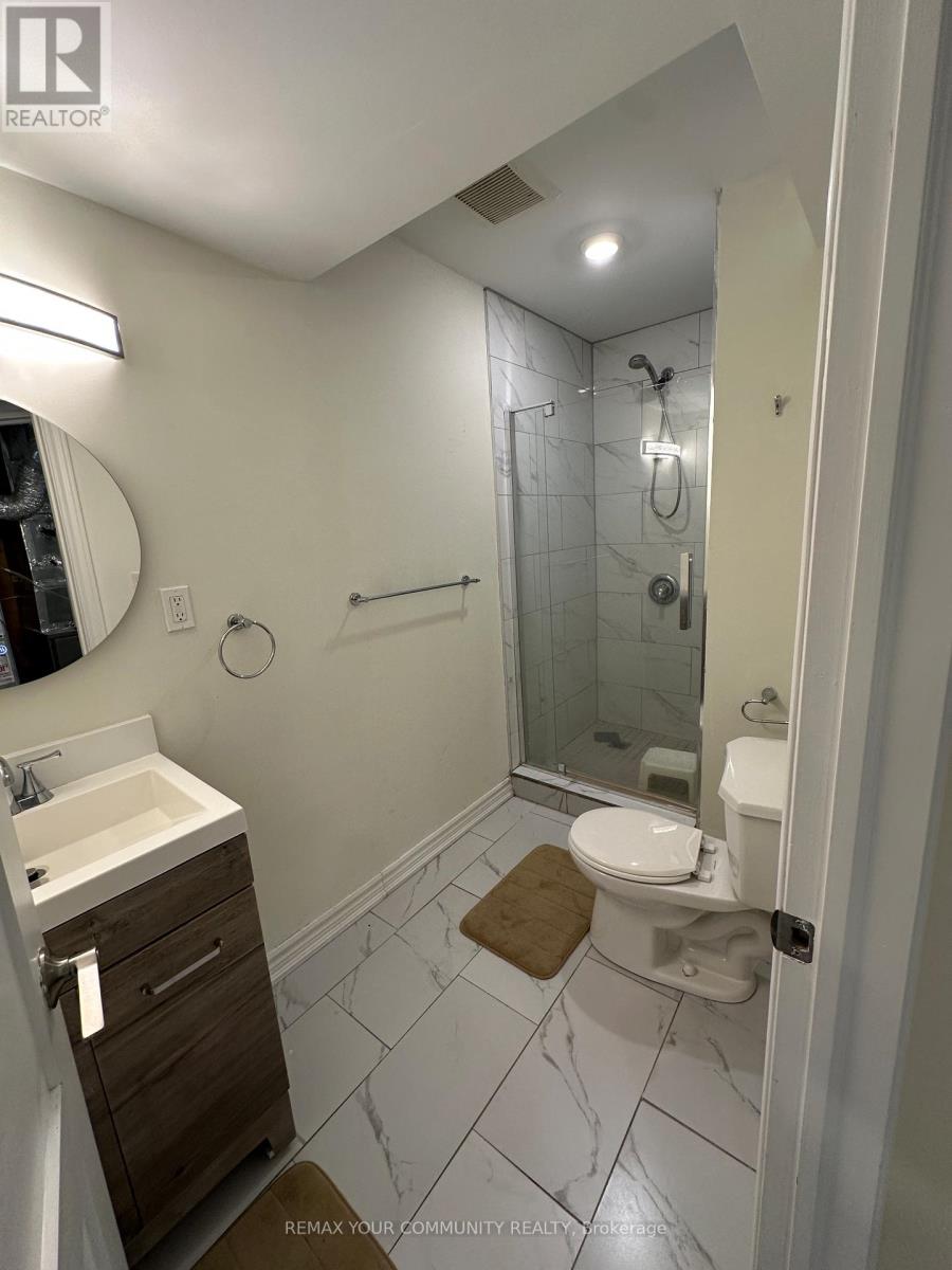 356 Sandford Street, Newmarket, Ontario  L3Y 4S3 - Photo 9 - N12988328