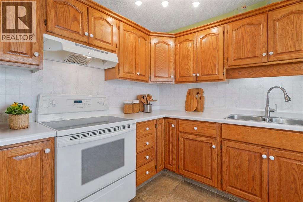 13 Park Ln Place, Strathmore, Alberta  T1P 1K7 - Photo 9 - A2291676