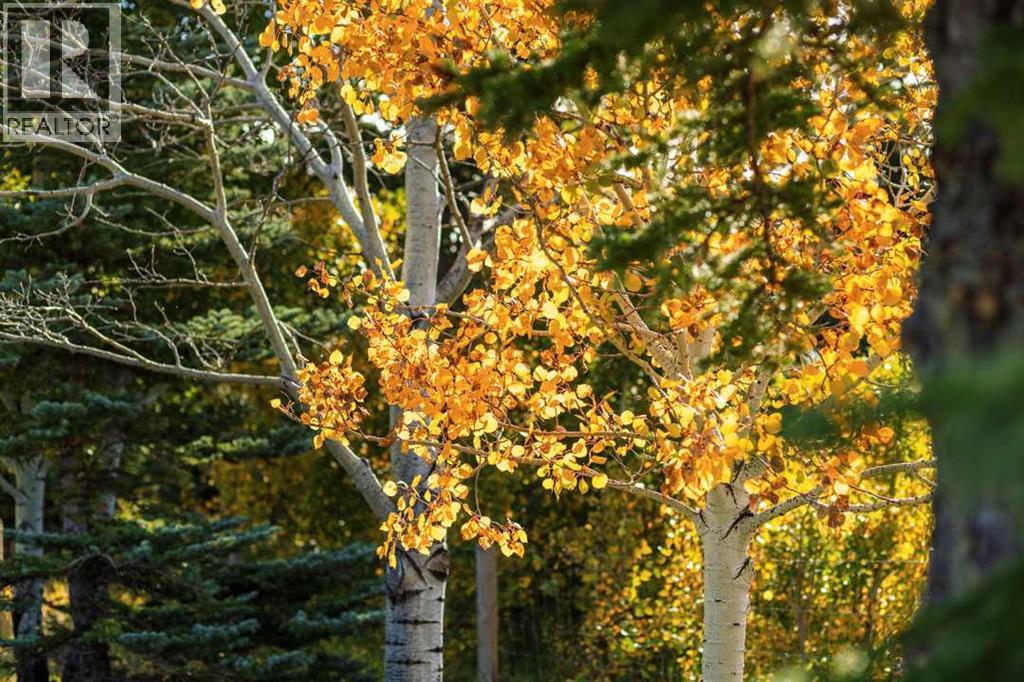 30076 Springbank Road, Rural Rocky View County, Alberta  T3Z 3M2 - Photo 29 - A2294157