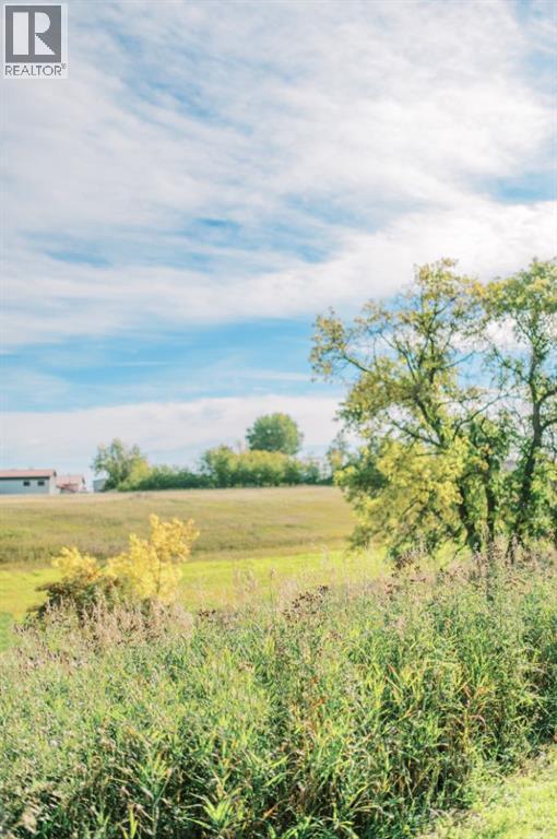 4406 47 Avenue, Stettler, Alberta  T4K 0B7 - Photo 14 - A2247746