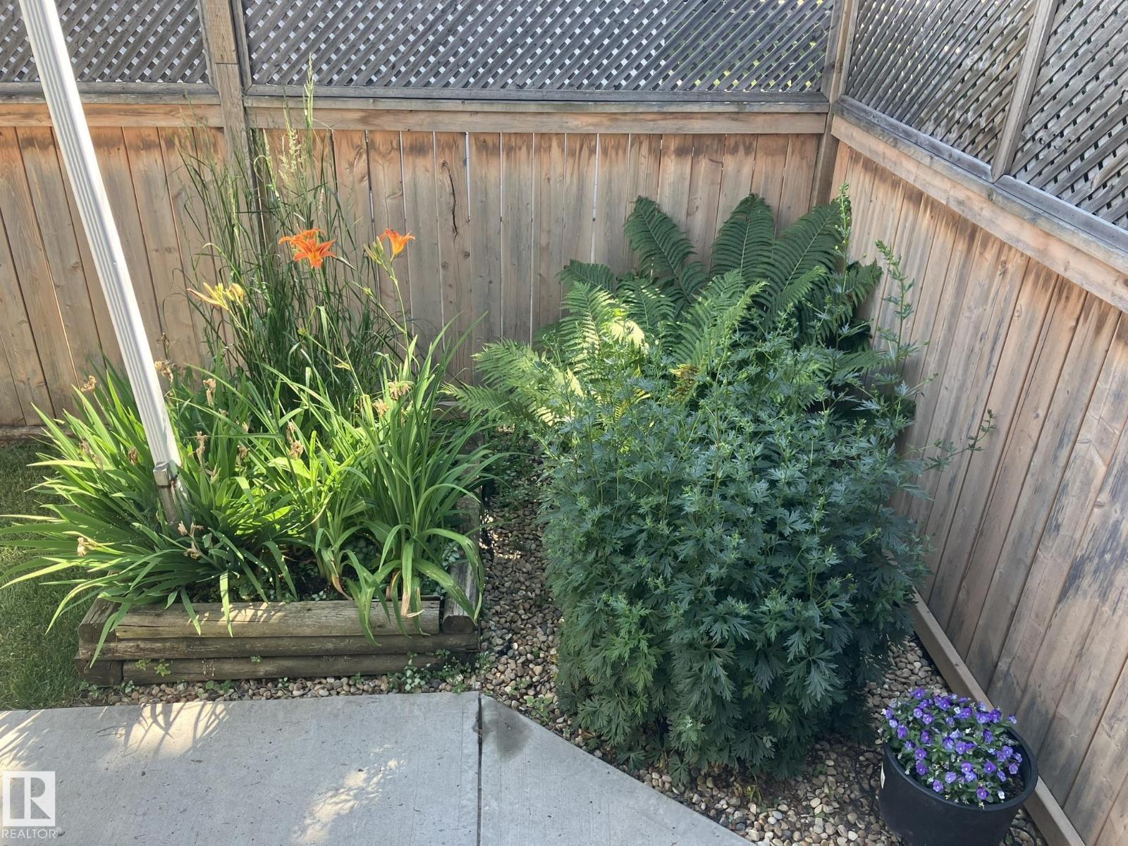 10007 107 St, Fort Saskatchewan, Alberta  T8L 2H5 - Photo 50 - E4481928