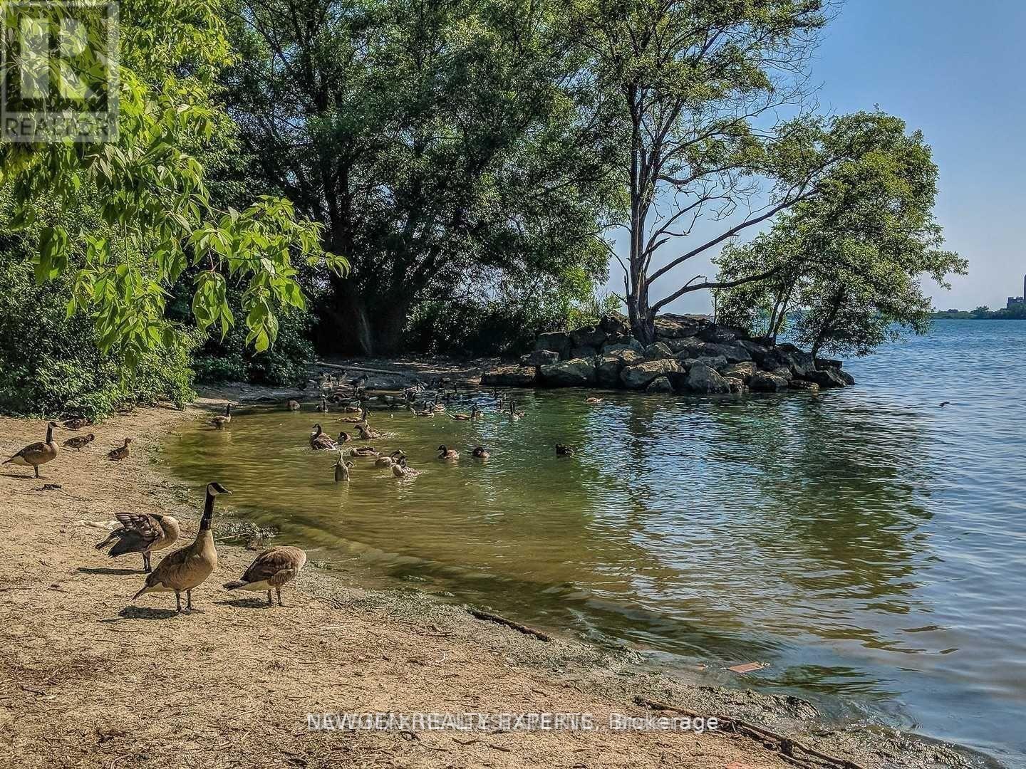 8 - 120 Longbranch Avenue, Toronto, Ontario  M8W 0A9 - Photo 17 - W12988450