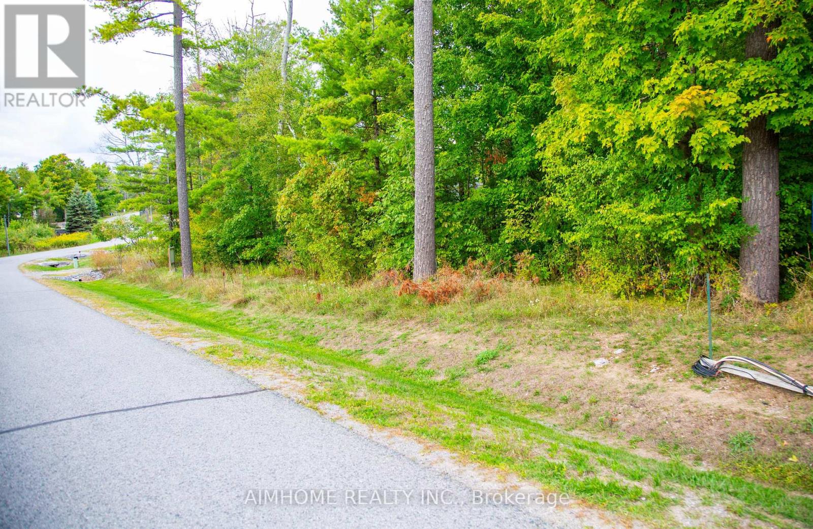 Lot 39 Fire Route 70, Trent Lakes, Ontario  K0L 1K0 - Photo 2 - X12988472