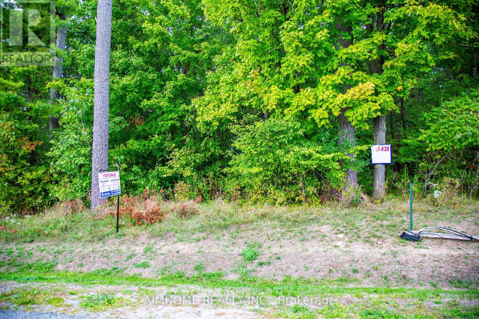 Lot 39 Fire Route 70, Trent Lakes, Ontario  K0L 1K0 - Photo 4 - X12988472