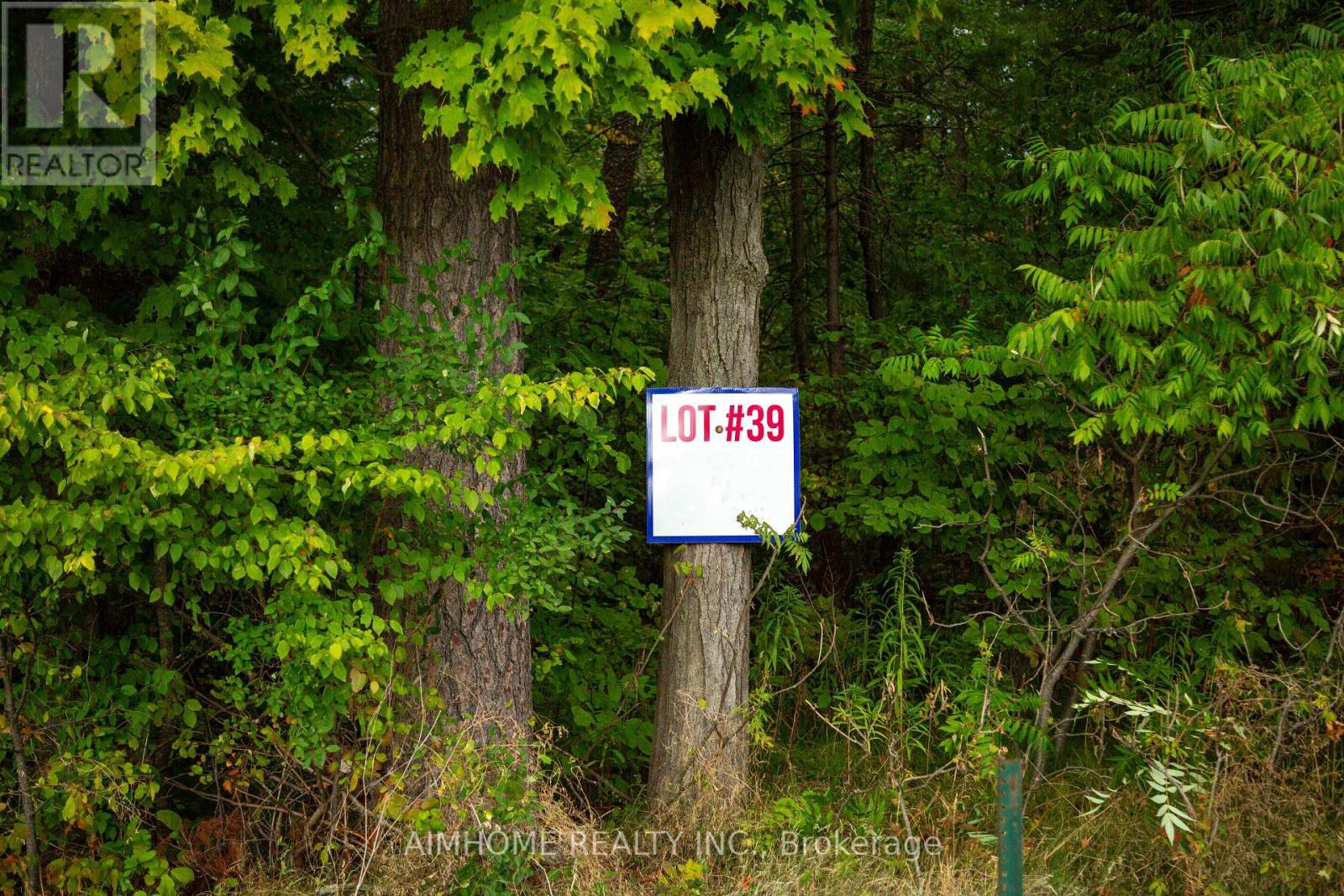 Lot 39 Fire Route 70, Trent Lakes, Ontario  K0L 1K0 - Photo 5 - X12988472