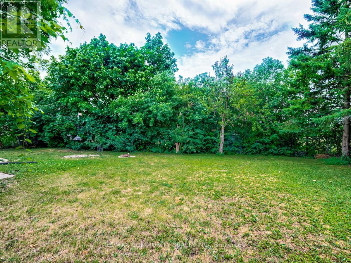 Lower Level - 12 Moonbeam Grove, Toronto, Ontario  M1B 2T5 - Photo 11 - E12988576