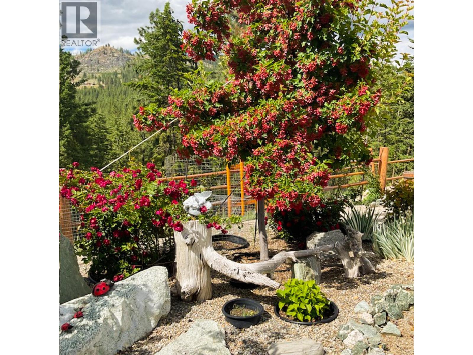 118 Maguire Road Osoyoos Photo 50