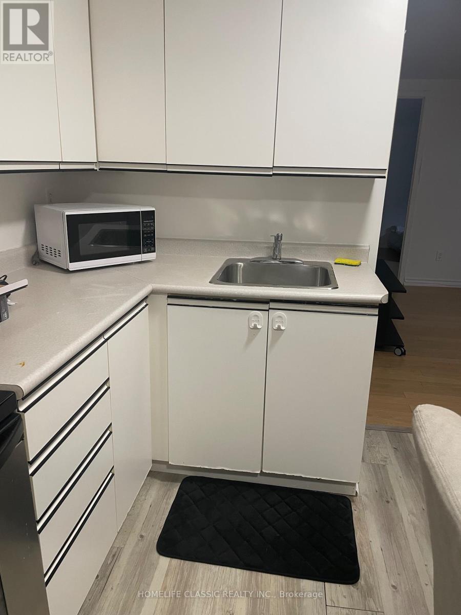 Lower - 102 Church Street S, Richmond Hill, Ontario  L4C 1W3 - Photo 13 - N12988694