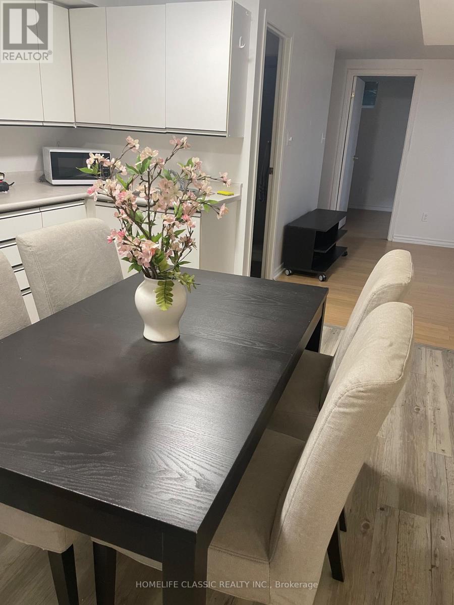 Lower - 102 Church Street S, Richmond Hill, Ontario  L4C 1W3 - Photo 14 - N12988694