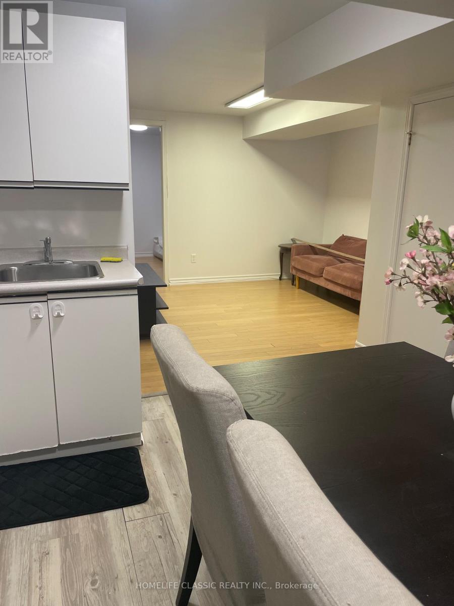 Lower - 102 Church Street S, Richmond Hill, Ontario  L4C 1W3 - Photo 3 - N12988694