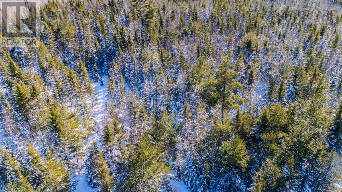 Lot S-1 Otterbrook Road, Otter Brook, Nova Scotia  B0N 1C0 - Photo 17 - 202602888