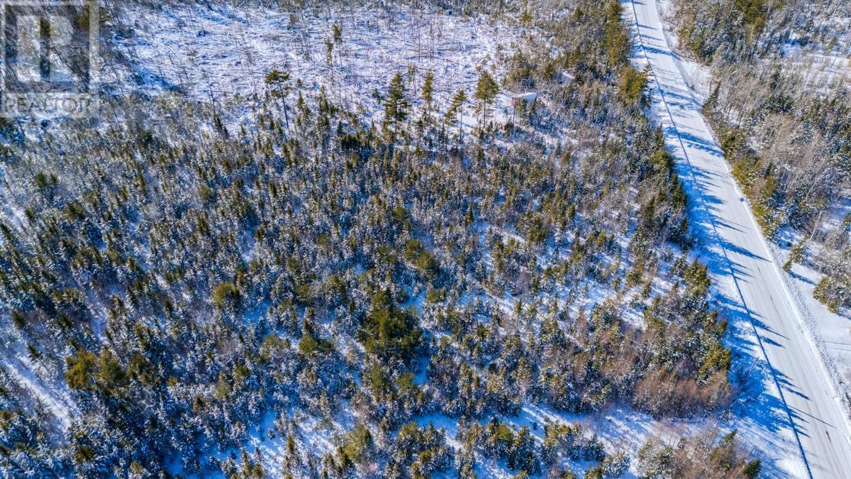 Lot S-2 Otterbrook Road, Otter Brook, Nova Scotia  B0N 1C0 - Photo 16 - 202602889