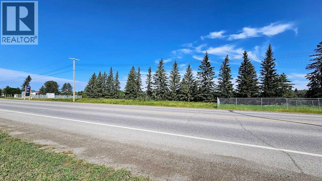 716 Main Avenue W, Sundre, Alberta  T0M 1X0 - Photo 10 - A2160129