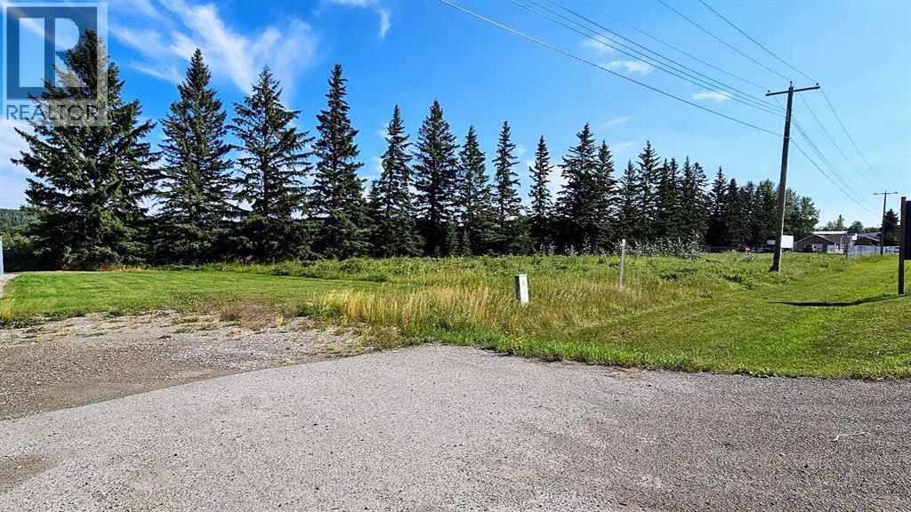 716 Main Avenue W, Sundre, Alberta  T0M 1X0 - Photo 2 - A2160129