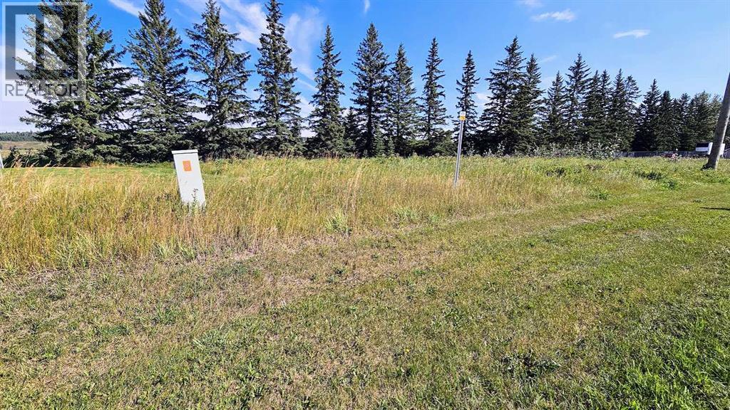 716 Main Avenue W, Sundre, Alberta  T0M 1X0 - Photo 5 - A2160129