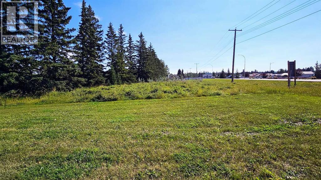 716 Main Avenue W, Sundre, Alberta  T0M 1X0 - Photo 3 - A2160129