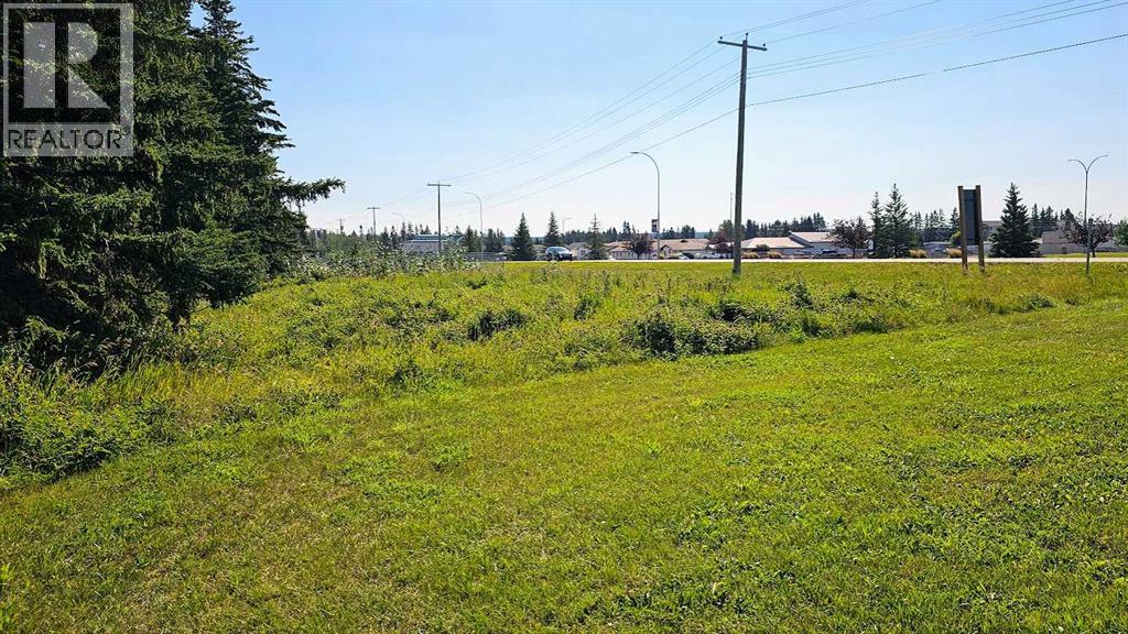 716 Main Avenue W, Sundre, Alberta  T0M 1X0 - Photo 4 - A2160129