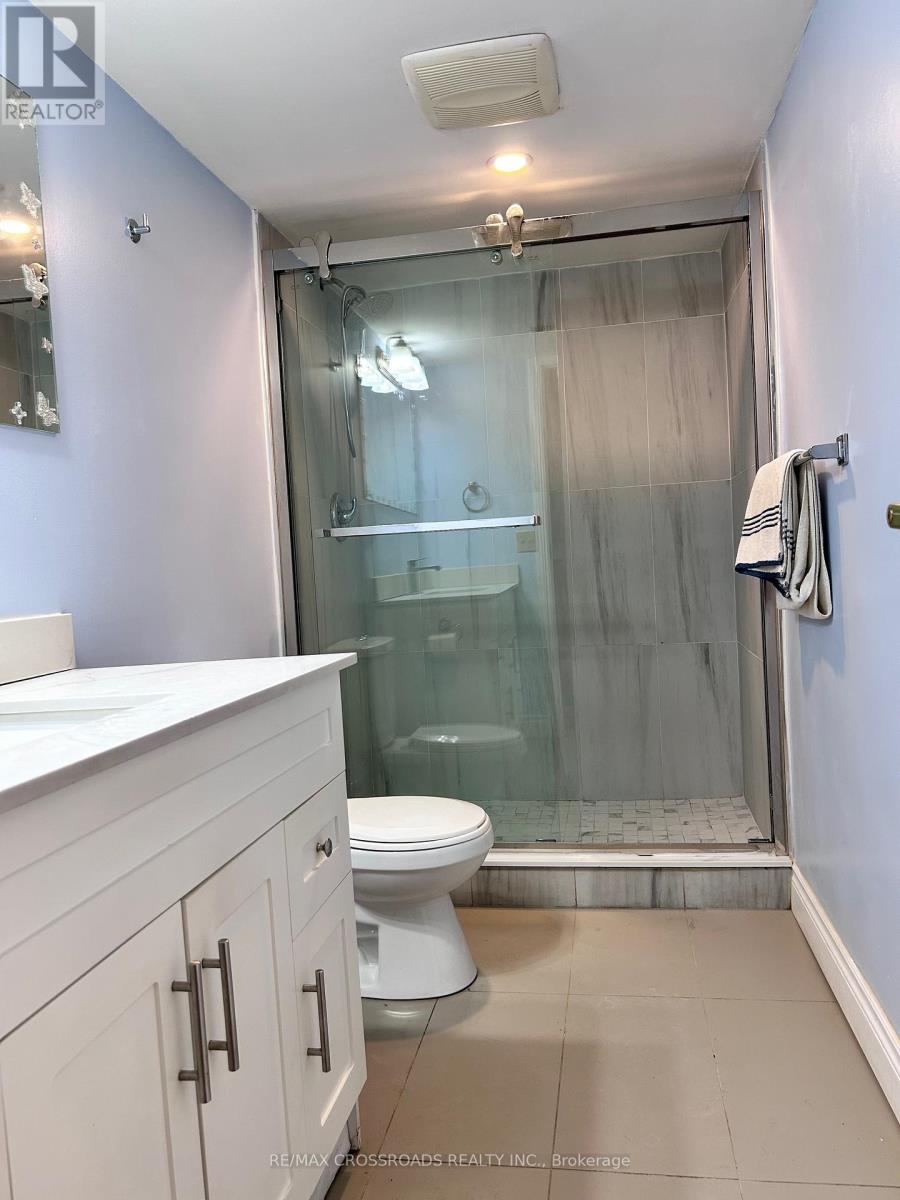 Lower Level - 62 Navaho Drive, Toronto, Ontario M2H 2X3 - Photo 12 - C12988732