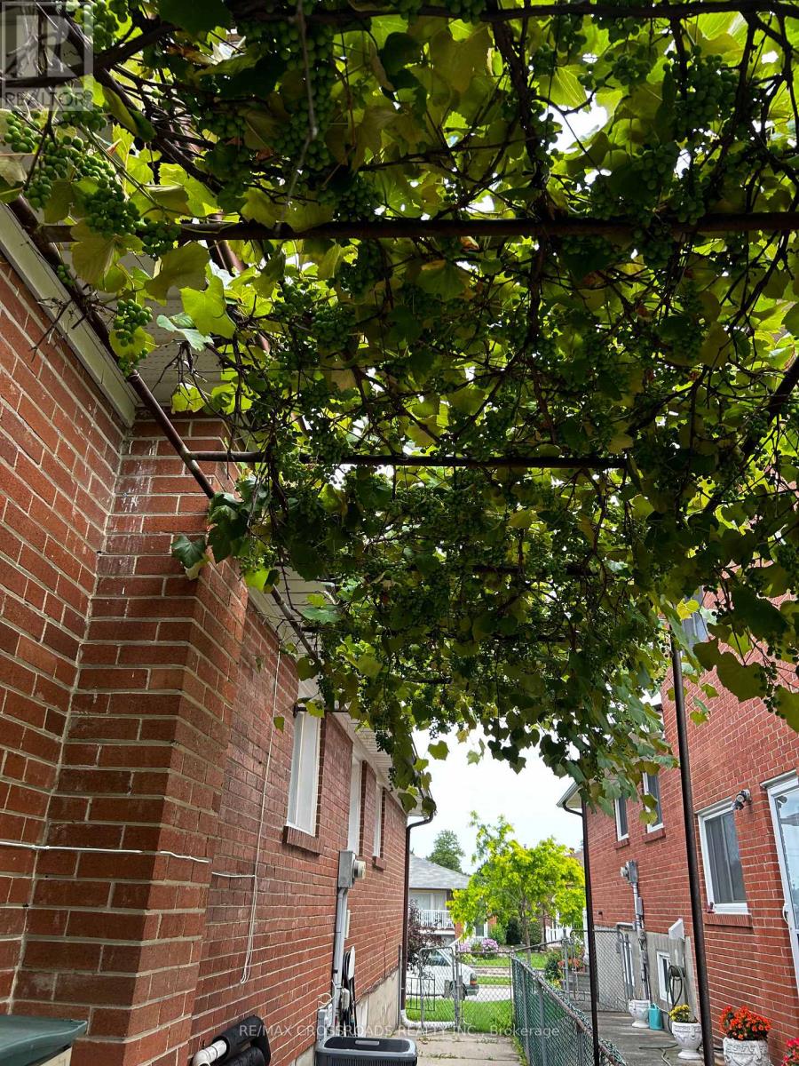 Lower Level - 62 Navaho Drive, Toronto, Ontario M2H 2X3 - Photo 21 - C12988732