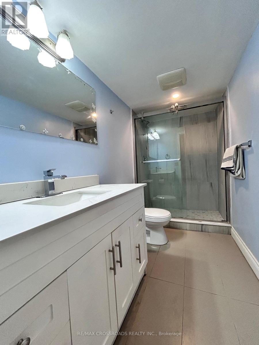 Lower Level - 62 Navaho Drive, Toronto, Ontario M2H 2X3 - Photo 4 - C12988732