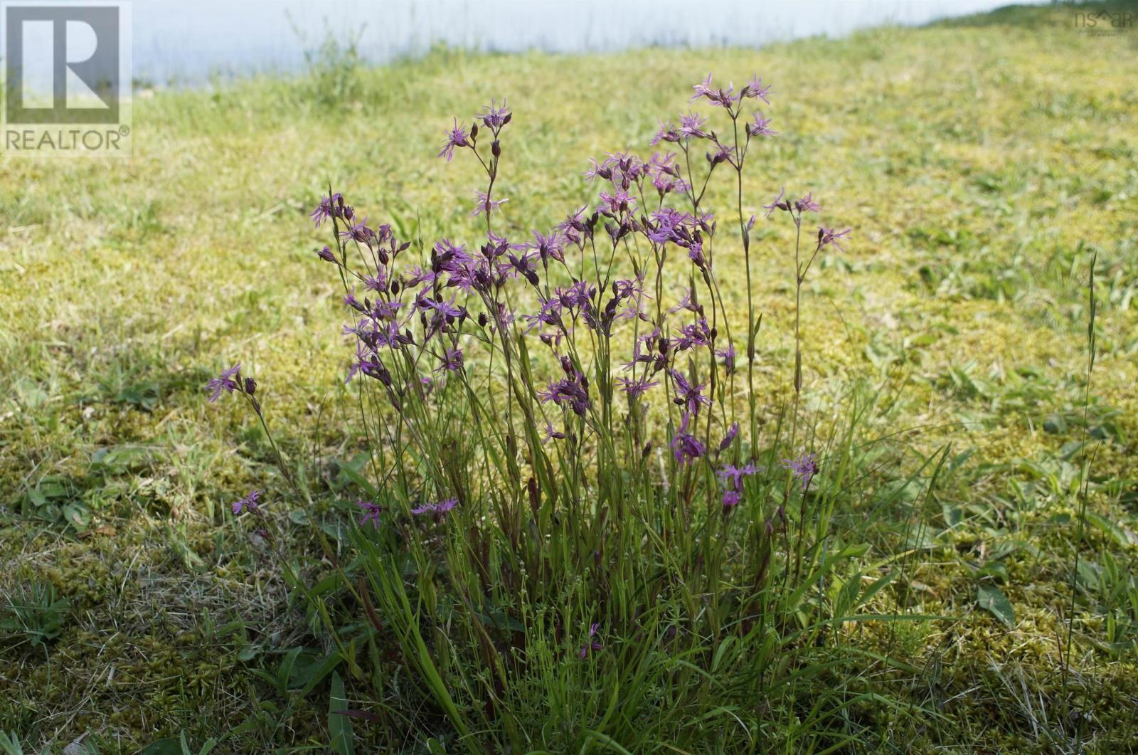 4031 Loch Lomond Road, Loch Lomond, Nova Scotia  B0A 1H0 - Photo 38 - 202607118