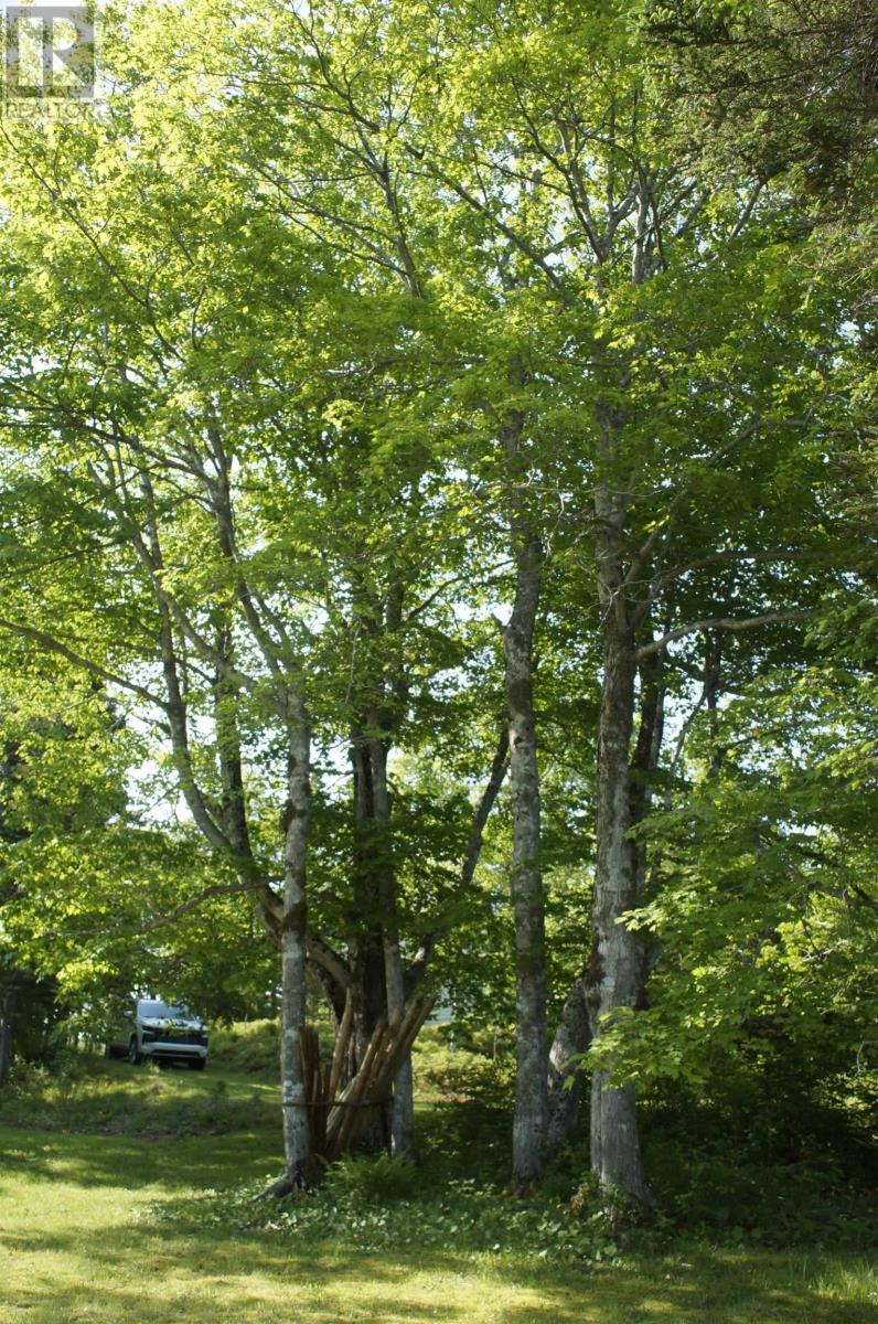 4031 Loch Lomond Road, Loch Lomond, Nova Scotia  B0A 1H0 - Photo 40 - 202607118